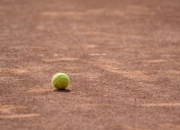 德约科维奇重返赛场，巴塞罗那观众激情沸腾，再创辉煌时刻