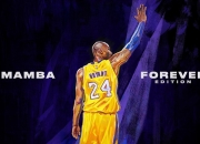 雄鹿带队取胜！，莎拉波娃重要时刻重要助攻引发球迷热议